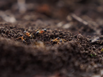 The Power of Story-led Content in Community Services